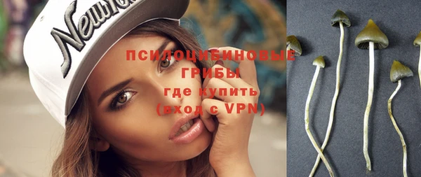 ГАЛЛЮЦИНОГЕННЫЕ ГРИБЫ Алзамай