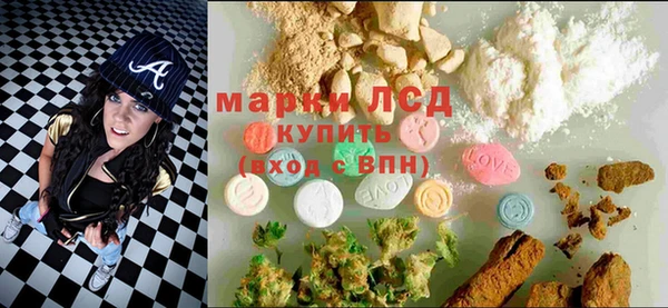 ГАЛЛЮЦИНОГЕННЫЕ ГРИБЫ Алзамай
