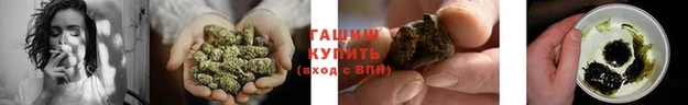 ГАЛЛЮЦИНОГЕННЫЕ ГРИБЫ Алзамай
