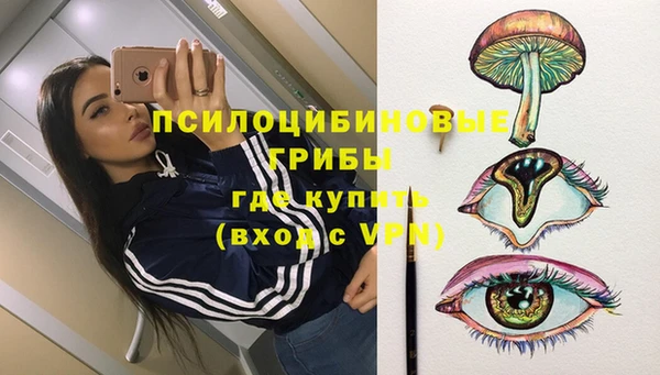 мяу мяу мука Алексеевка